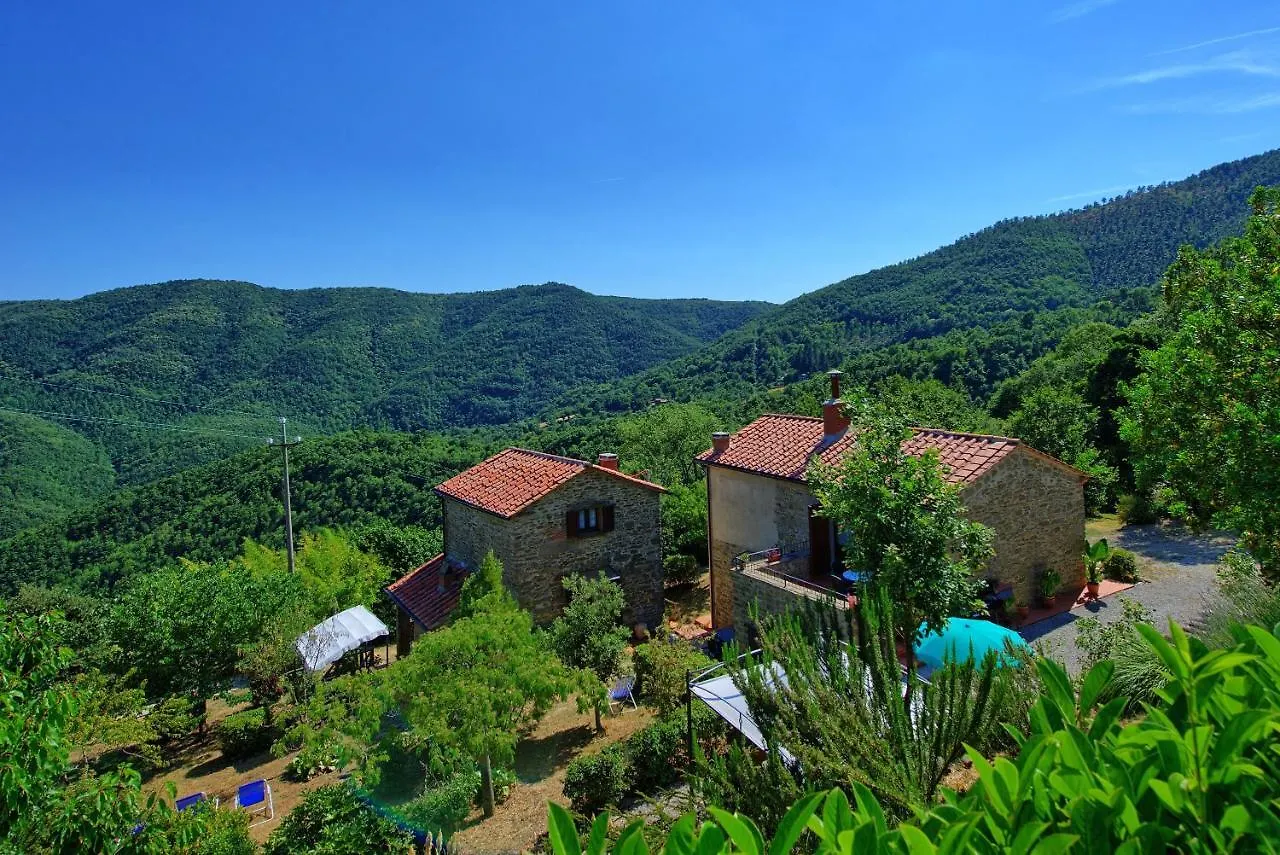 Borgo Veronica By Posarellivillas Cortona Apartment